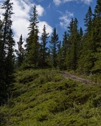 Family of boy who died at Lassen Volcanic National Park reaches settlement